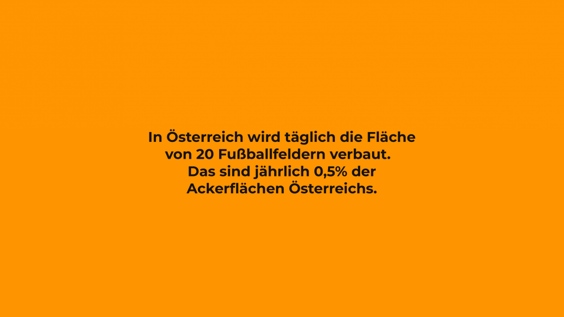 10_Versiegelung-1