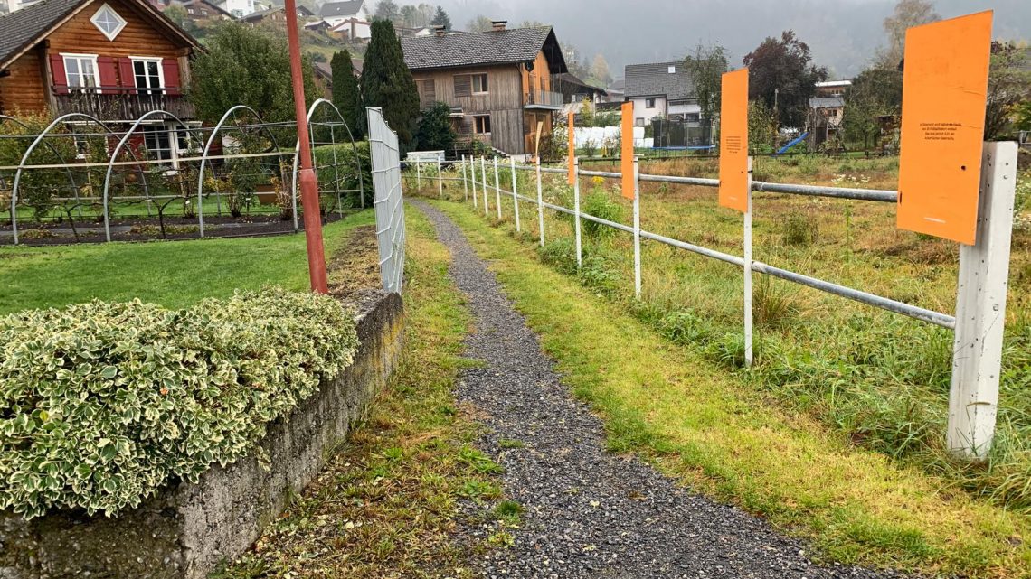 IMG-20191108-WA0031